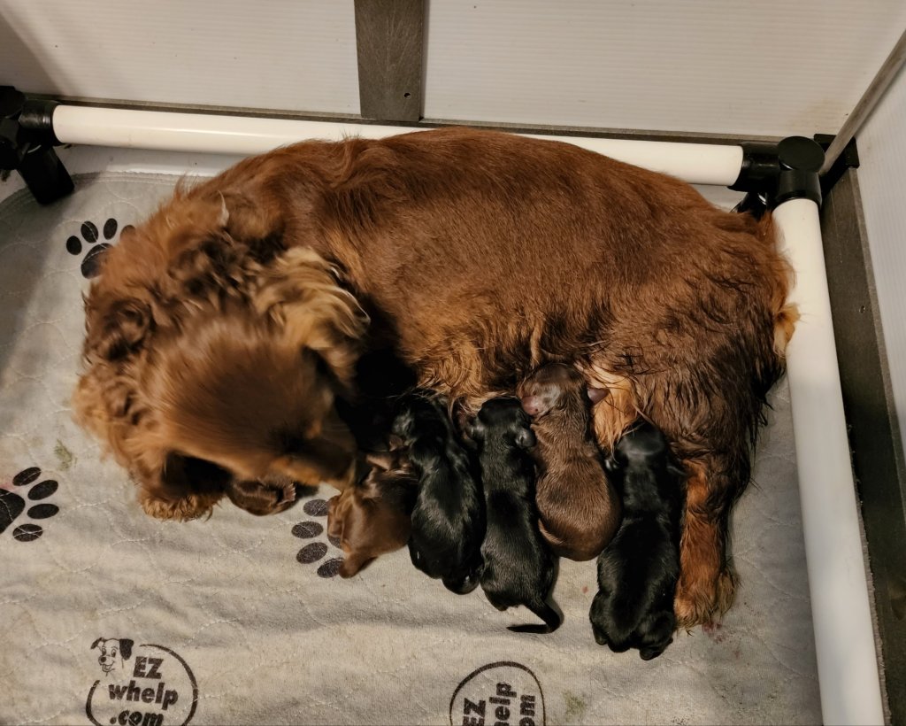 20220521_144654910882598785885369