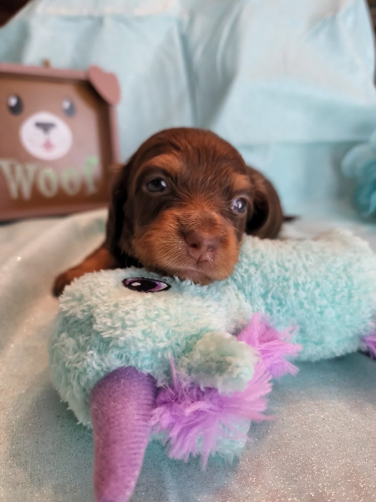 20220612_1702056625539422407627110