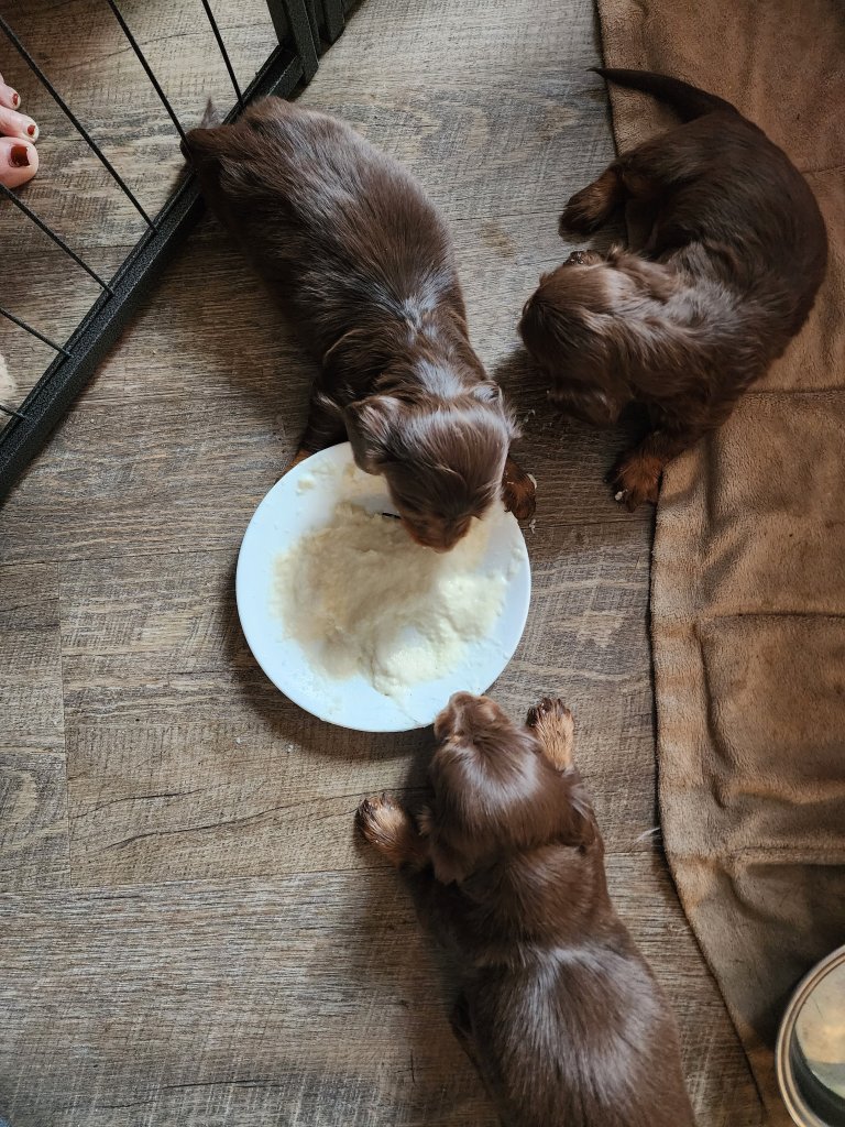 20230129_0952101385420662547057838