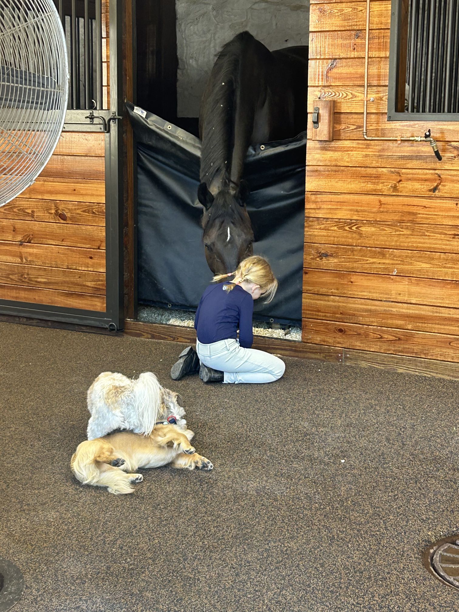 img_20251210_1808083121473211272329476